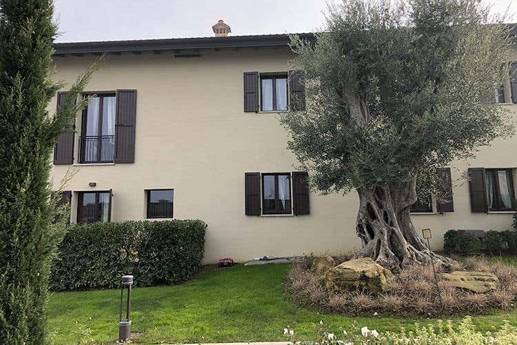 Il Palazzo di Varignana resort Da centro sportivo ad azienda agricola