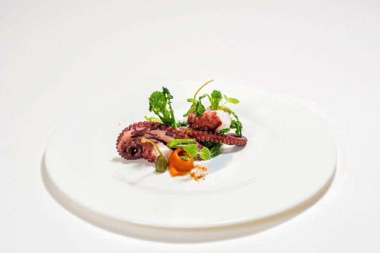 Polpo - (£$Il posto del cuore$£ 
Al Ficodindia, Sicilia mon amour)