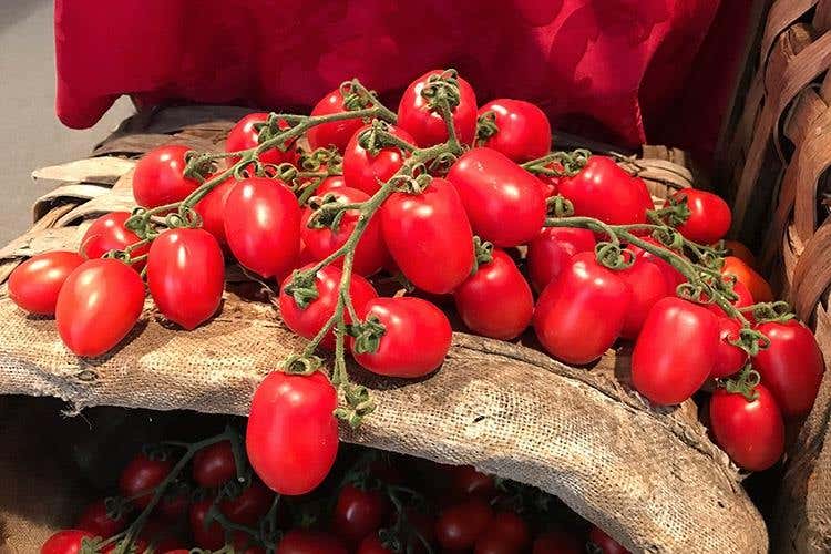 Il Salone del Gusto Siciliano cresce +60% di espositori a MedinFood
