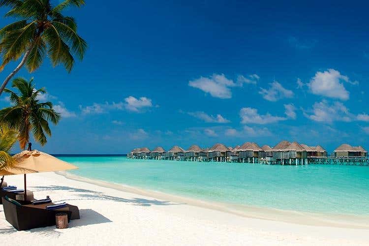 (Il sogno delle Maldive 
al Constance Halaveli)