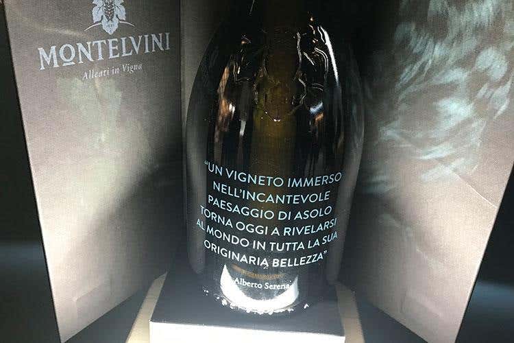 Il “Vigneto Ritrovato” di Montelvini e il nuovo protocollo di vinificazione