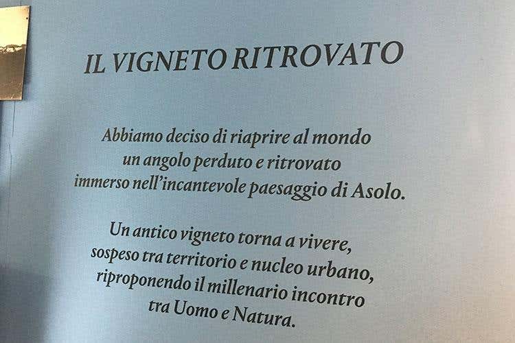 Il “Vigneto Ritrovato” di Montelvini e il nuovo protocollo di vinificazione