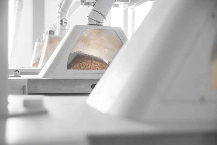 Il virtuale diventa reale nel nuovo sito di Molino Pasini