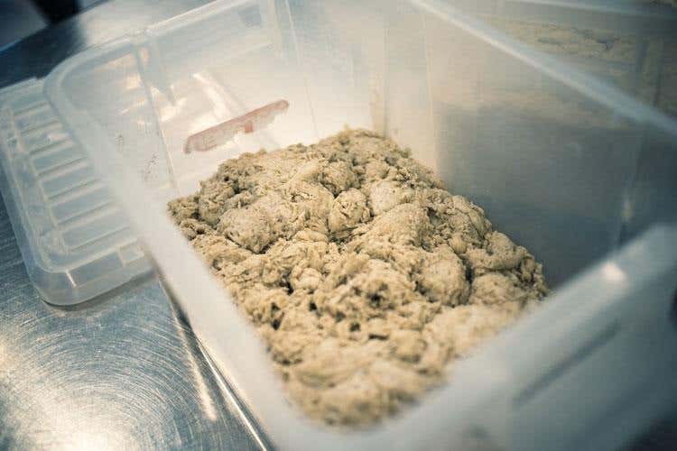 (Impasto indiretto, Biga e Poolish 
I corsi di formazione di Molino Grassi)