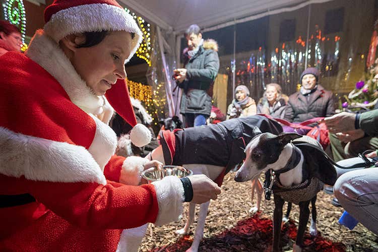 (In 500mila a Caorle Wonderland 
Mercatini di Natale in spiaggia)