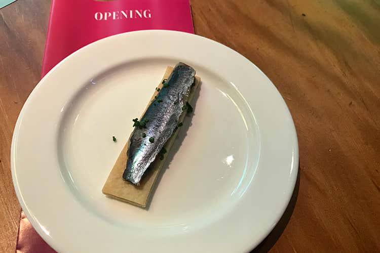 (Inaugurazione superstar
per Viva di Viviana Varese)