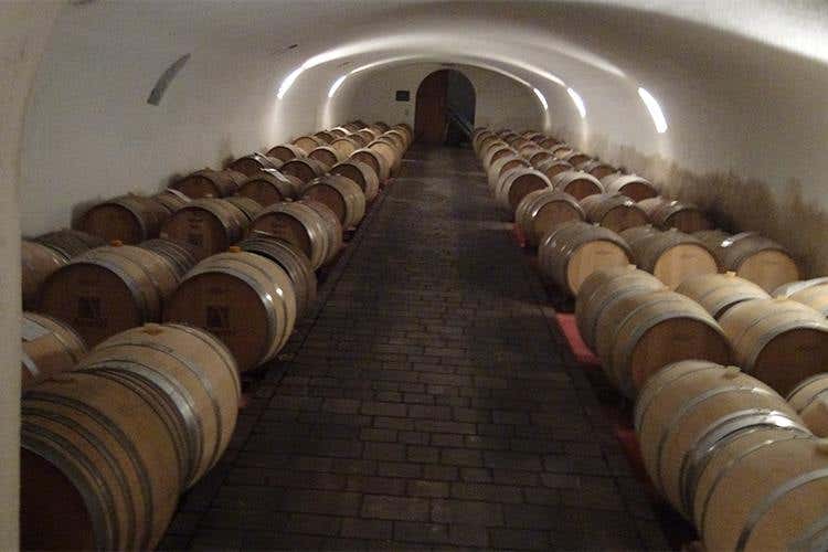 La Cantina Avanzi - Italia in Rosa, oltre 8mila i visitatori 
La Basia vince il Trofeo Pompeo Molmenti