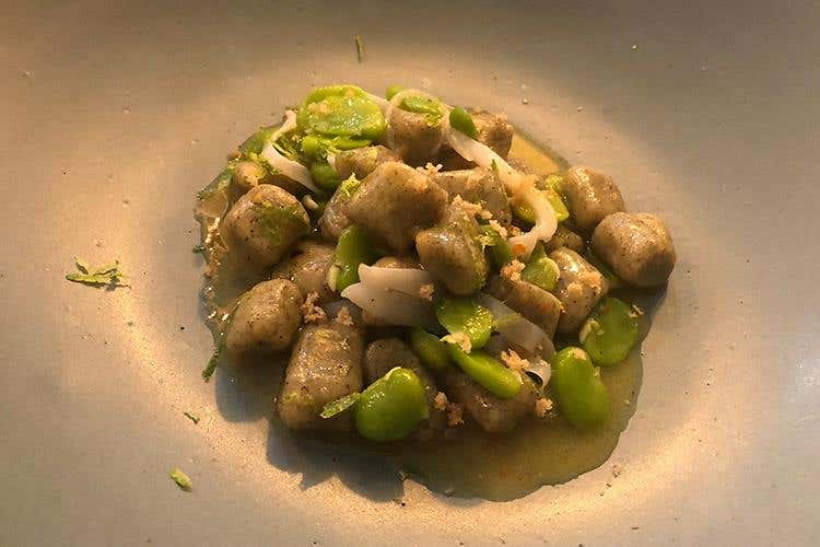 Gnocchetti di canapa con calamari e fave (Italian Pale Ale di Birra Moretti 
Aromi intensi, per un gusto tutto italiano)