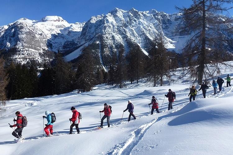Guide alpine - foto: Silvano Andreis (L'inverno in Val di Sole 
Una destinazione, infinite possibilità)