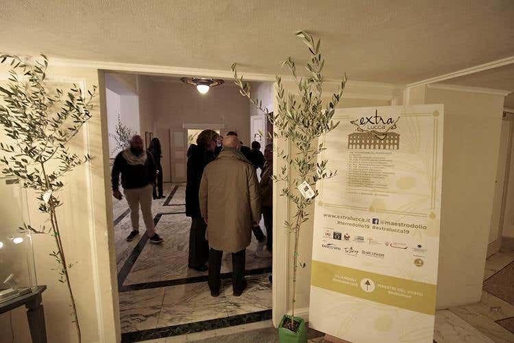 (L'olio italiano finalmente su un palco 
A Extralucca l'evo di qualità parla da sé)