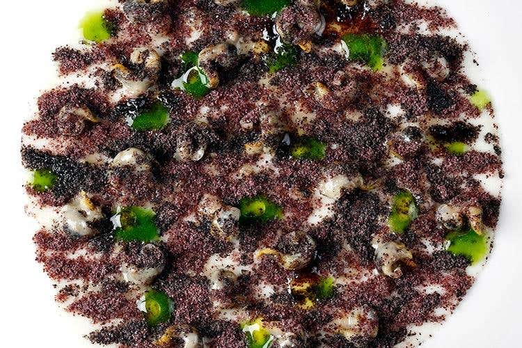 OMAGGIO ALLE DOLOMITI - lumachine al finocchietto