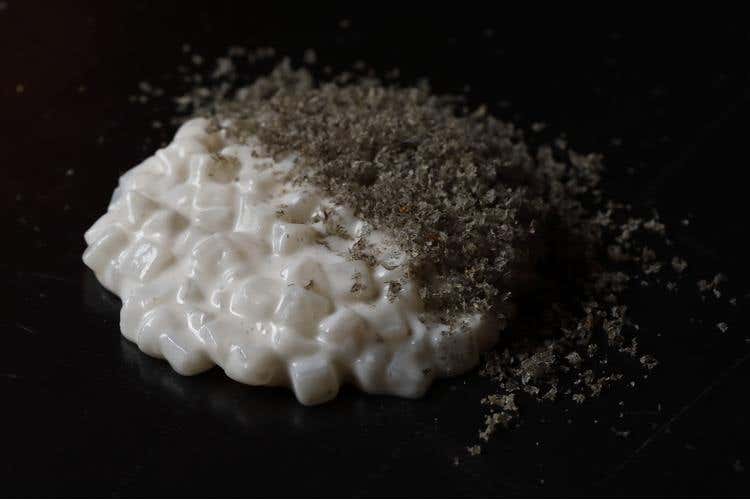 CALA - MAR calamaro assoluto