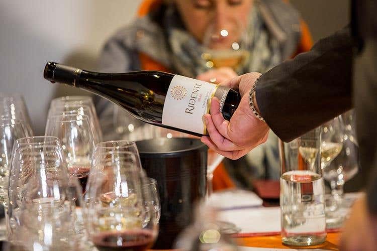 (La Doc Monreale cerca l'identità 
Vini di Sicilia da quattro vitigni)