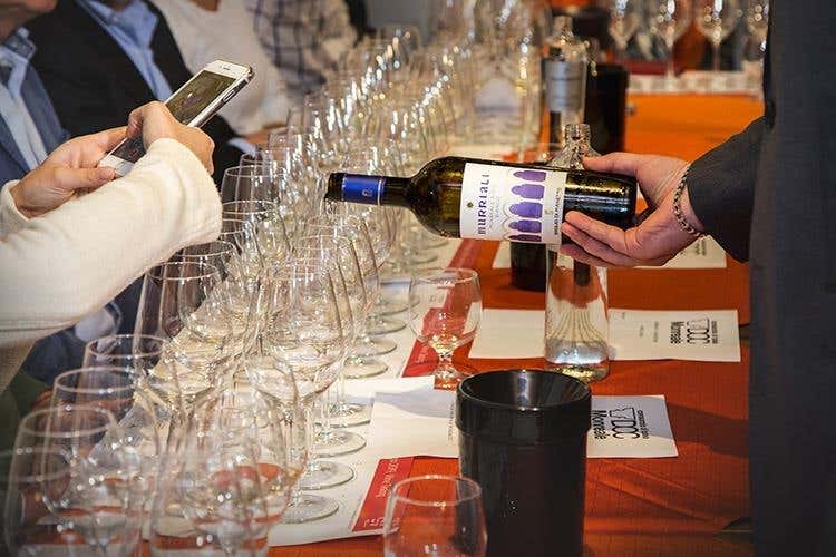 (La Doc Monreale cerca l'identità 
Vini di Sicilia da quattro vitigni)