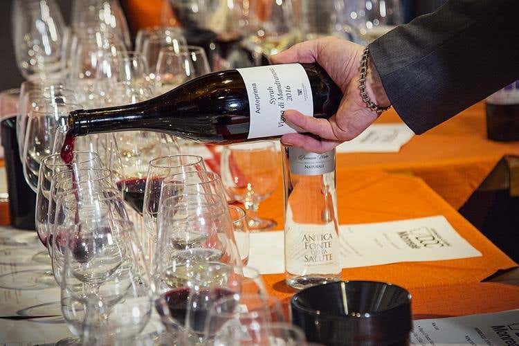 (La Doc Monreale cerca l'identità 
Vini di Sicilia da quattro vitigni)