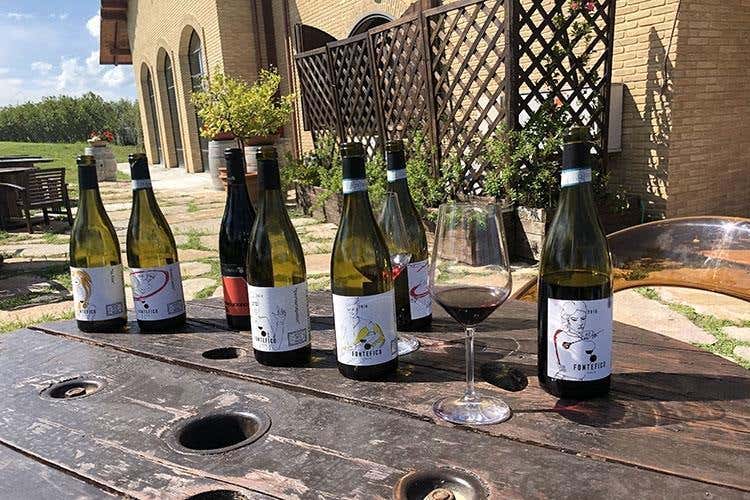 (La gioventù di Fontefico 
Ventata di novità da 2 fratelli)