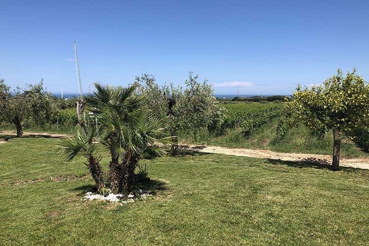 (La gioventù di Fontefico 
Ventata di novità da 2 fratelli)