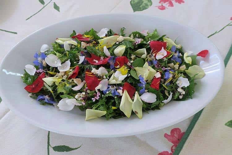 (La Manna di Zabbra 
Cucina al taglio di campagna)