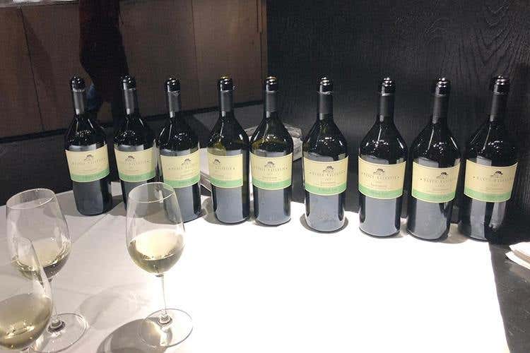 (La nuova edizione di Appius 
debutta al Merano WineFestival)