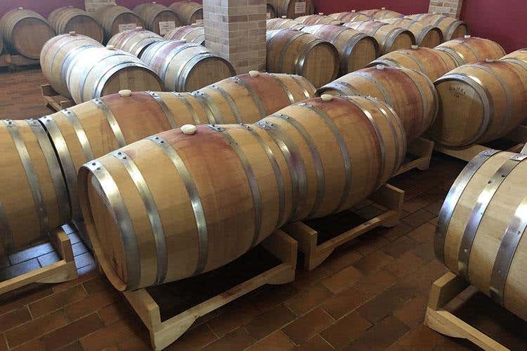 (La sapienza degli Jasci 
Precursori del vino abruzzese)