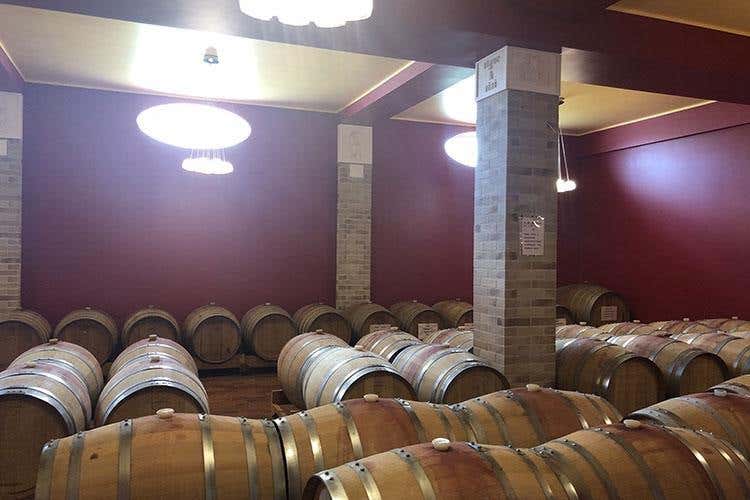 (La sapienza degli Jasci 
Precursori del vino abruzzese)