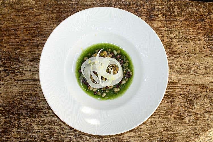 Non solo zuppa! (La scienza con l'industria alimentare 
Da un'unione virtuosa nasce Amìo)