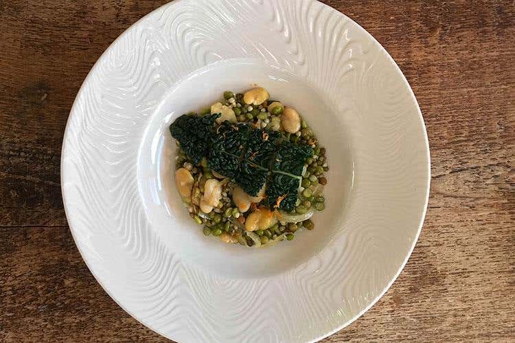 Inverno (La scienza con l'industria alimentare 
Da un'unione virtuosa nasce Amìo)