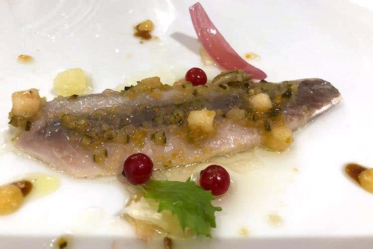 Sgrombro marinato agli agrumi e mela renetta (La Sicilia di Vincenzo Pinto 
fra tradizione e cucina gourmet)