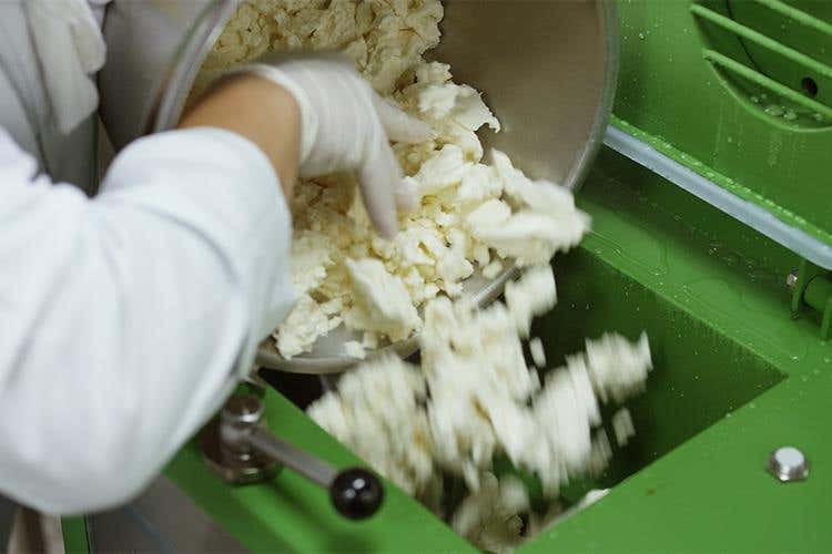 La vera mozzarella italiana 
a bordo di Costa Crociere