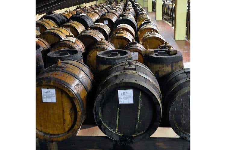 Lambrusco Bio e Balsamico Tradizionale L'Emilia premium di Manicardi