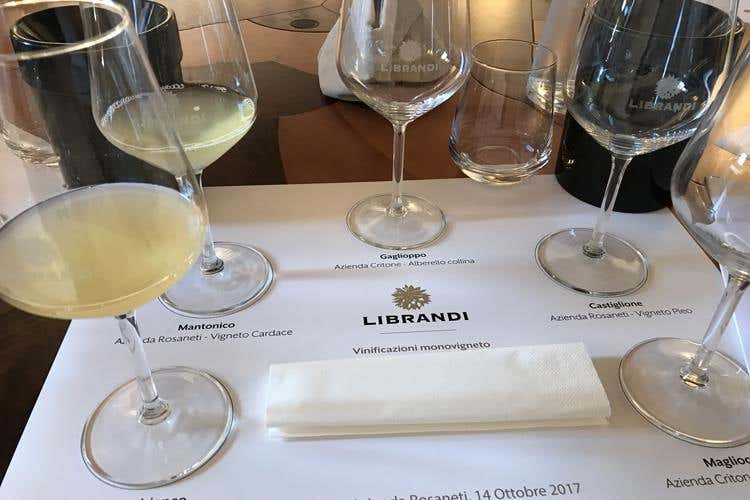 (Le famiglie del vino, ecco i Librandi 
Calabria di storia, ricerca e passione)