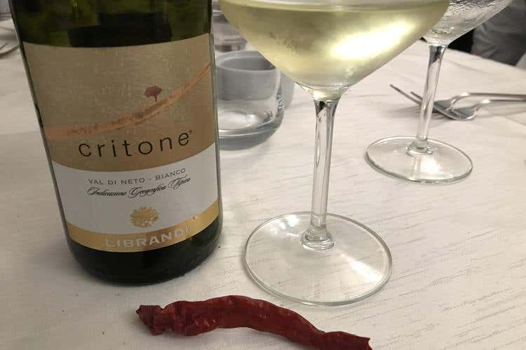 (Le famiglie del vino, ecco i Librandi 
Calabria di storia, ricerca e passione)