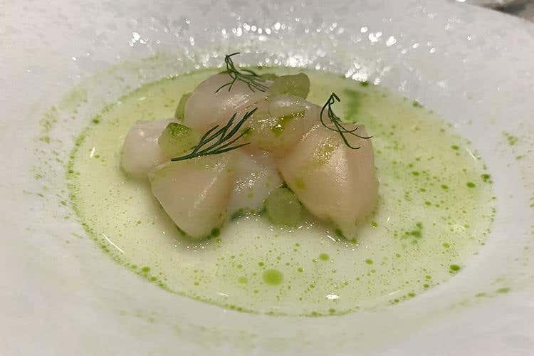 Capesante con brodo di finocchio e mela verde - Paulo Nicolas Airaudo (Le Soste, riconoscimenti e gran galà 
A Ezio Santin il Premio alla Carriera)