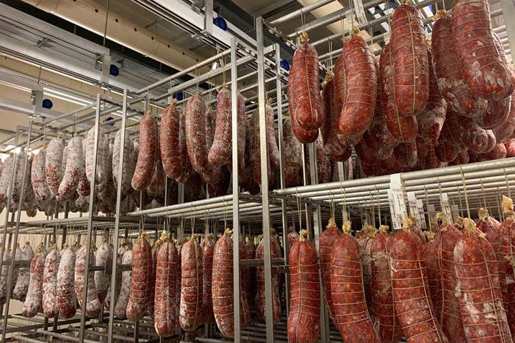 (Levoni, il gusto dei salumi 
parte dal rispetto degli animali)
