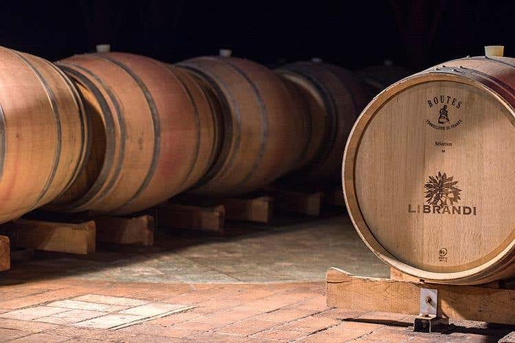 La cantina (Librandi e la Calabria 
Una storia d'amore, di vino e di territorio)