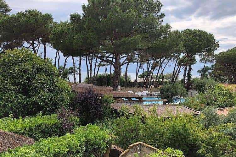 (Librandi e la Calabria 
Una storia d'amore, di vino e di territorio)