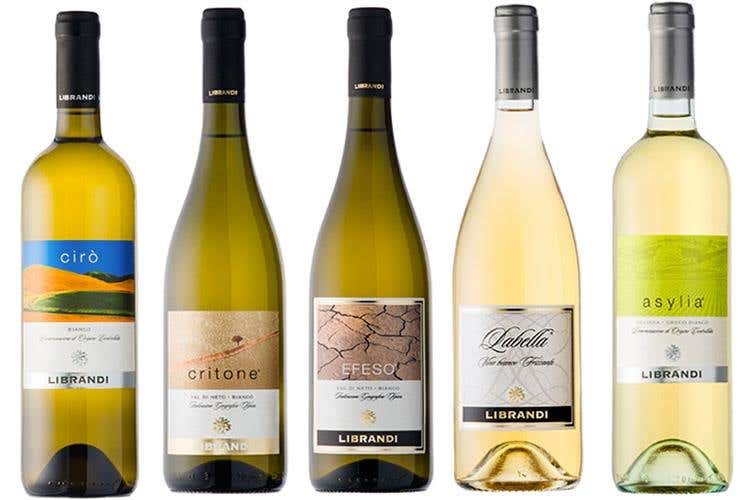 I bianchi Librandi (Librandi e la Calabria 
Una storia d'amore, di vino e di territorio)