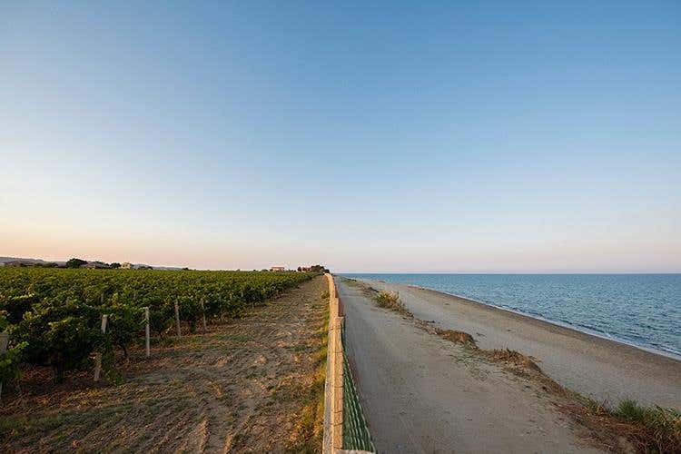 I conferitori sul mare a Cirò marina (Librandi e la Calabria 
Una storia d'amore, di vino e di territorio)