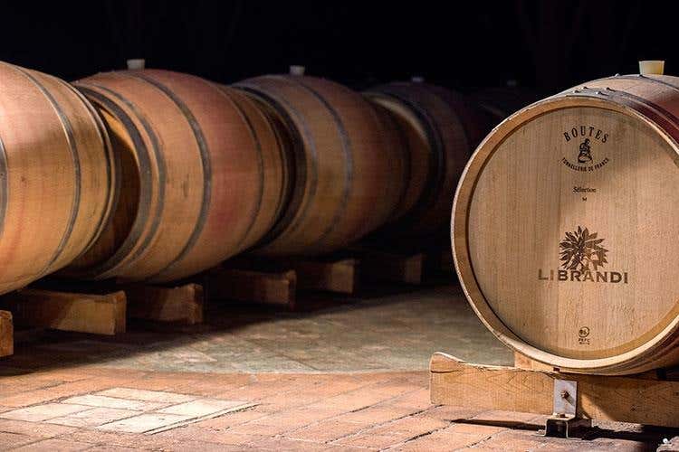 (Librandi racconta la Calabria a Vinitaly 
In degustazione il rosé Terre Lontane)