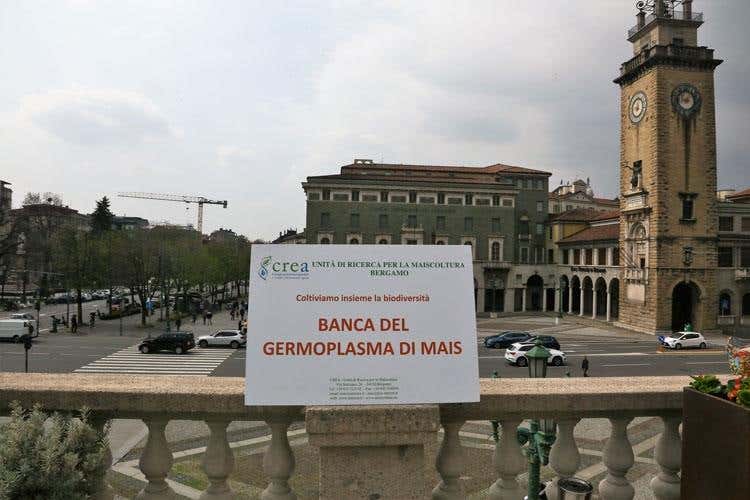 (Light lunch con vista da Ezio Gritti 
Formaggi, salame e Casoncelli superstar)