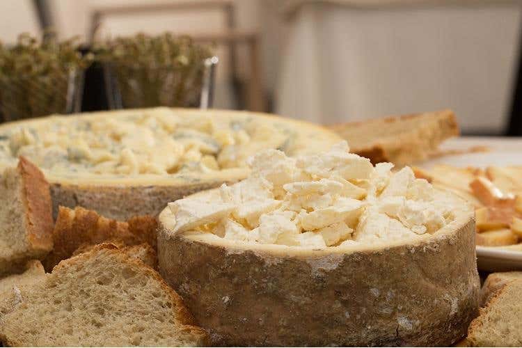 (Light lunch con vista da Ezio Gritti 
Formaggi, salame e Casoncelli superstar)