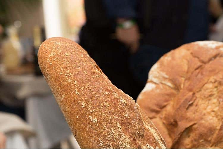 (Light lunch con vista da Ezio Gritti 
Formaggi, salame e Casoncelli superstar)