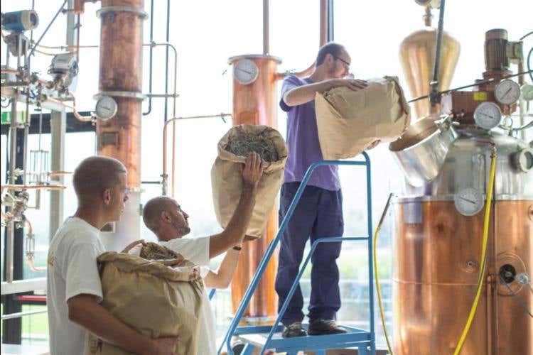 (Lo Matsòn a Courmayeur 
Un assaggio del territorio valdostano)