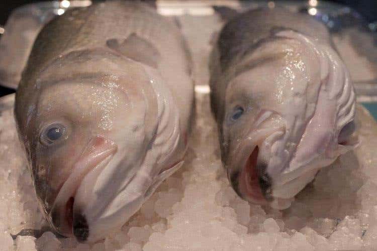 Longino&Cardenal e Aquanaria Da Roma parte la nuova partnership