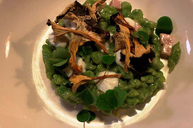 (Malga Panna 
La stella che brilla su Moena)