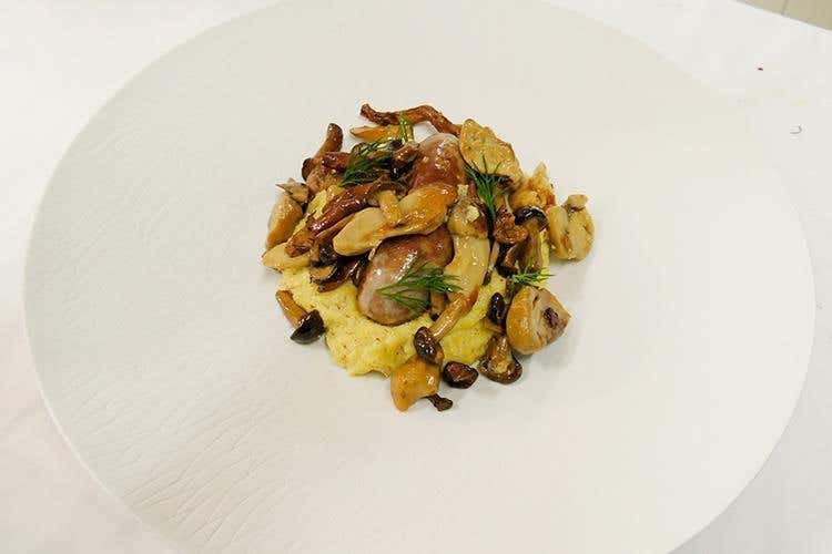 Polenta taragna con salsiccia e funghi del territorio (Stube)