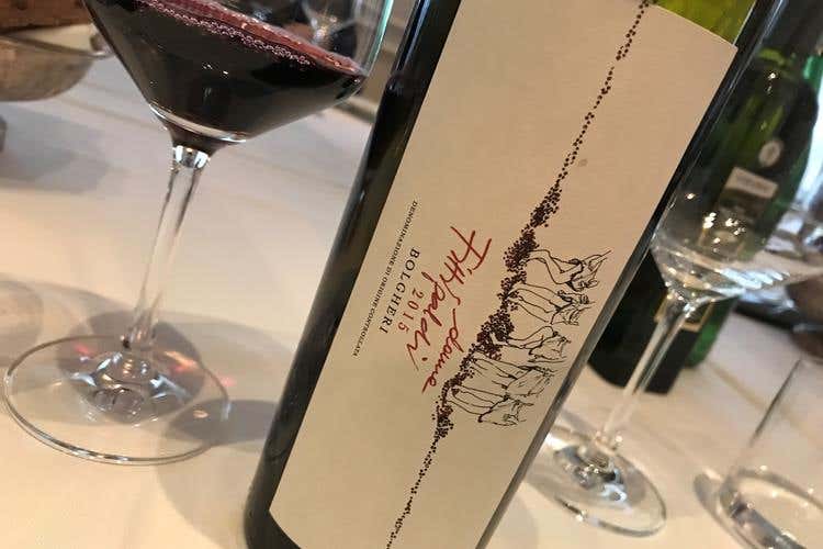 Maria Fittipaldi a Bolgheri Da astemia a donna del vino