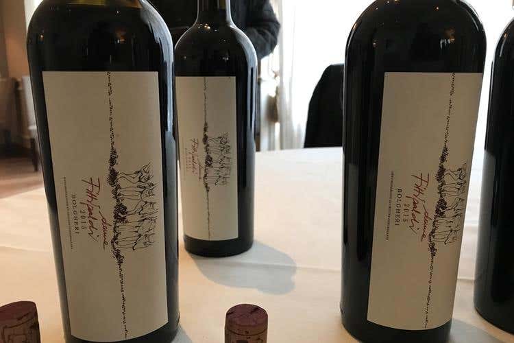 Maria Fittipaldi a Bolgheri Da astemia a donna del vino
