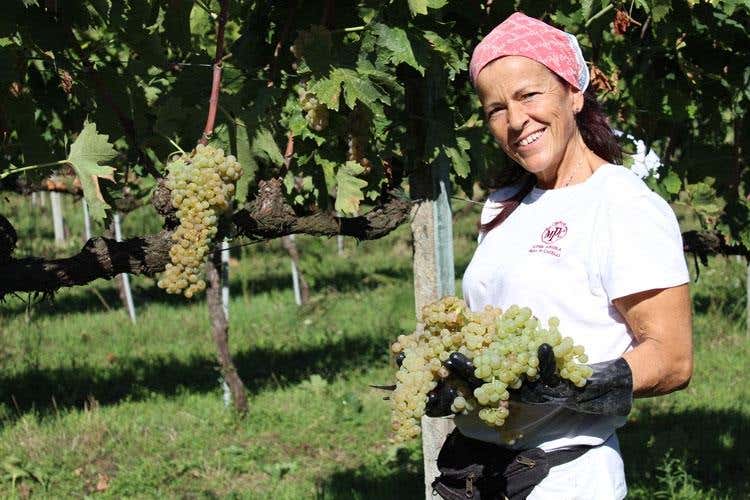 Maria Pia Castelli Nel calice la storia di una famiglia