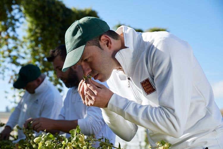 (Mastri Birrai Umbri a Guardo Cattaneo 
Nuovo birrificio restaurato e con malteria)